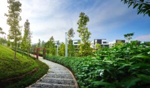 Lingkungan Yang Mendukung