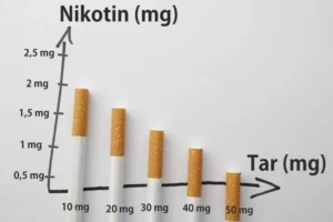 Kadar Nikotin Rokok Modern Bisa 3–5 Kali Lebih Tinggi