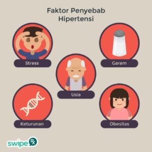 Penyebab Hipertensi