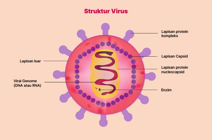 Dampak Penyakit Virus Baru bagi Dunia