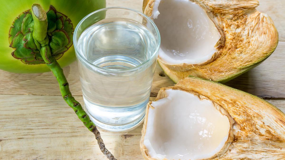 manfaat air kelapa untuk sehari hari