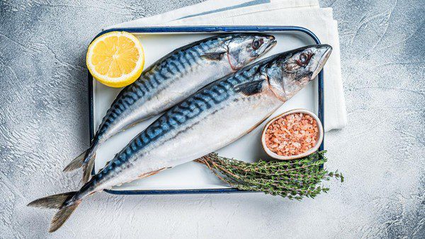 Ikan Terbaik untuk Diet Sehat & Lezat