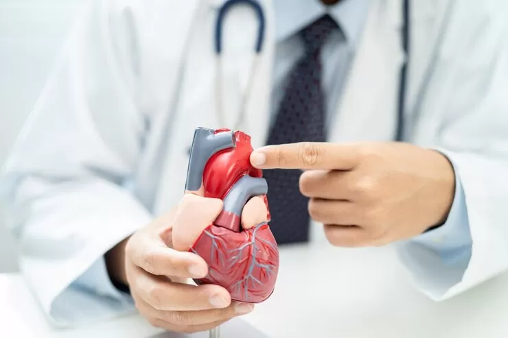 Cara Menjaga Kesehatan Jantung Sejak Usia Muda di Tahun 2025