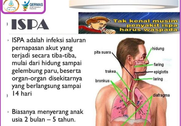Mengenal ISPA dan 5 Penyebabnya