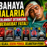 7 Bahaya Malaria Jika Terlambat Ditangani, Bisa Berakibat Fatal!
